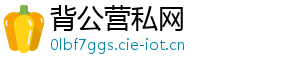 背公营私网
